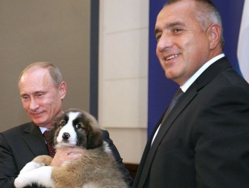 Бойко Борисов отива при Владимир Путин, ако ГЕРБ бие на изборите 1 771acfb50a98ea6f797bb8e902c9df82